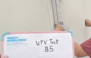 UPV Test-Bank Sumut KaCab Tarutung
